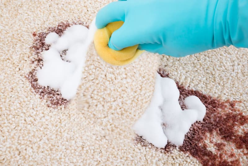 1744623361_1742896470_Remove-wine-stain-1